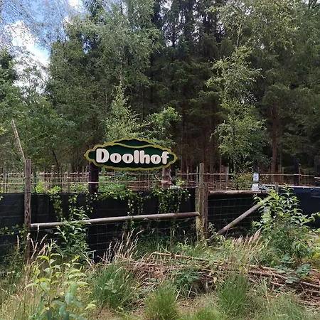 In Netherlands Near Cycling Trails Chalet