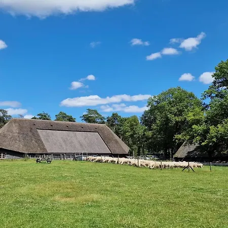 In Netherlands Near Cycling Trails * Beekbergen