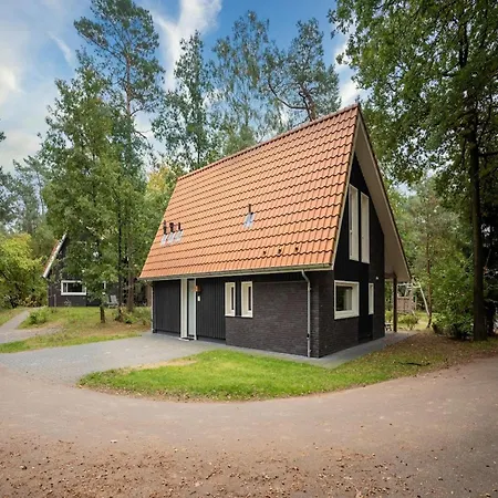 In Netherlands Near Cycling Trails