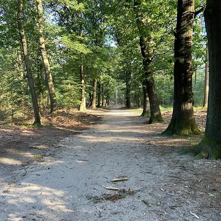 In Netherlands Near Cycling Trails
