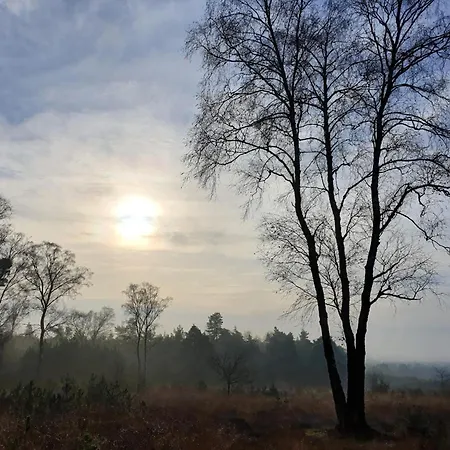 In Netherlands Near Cycling Trails Chalet